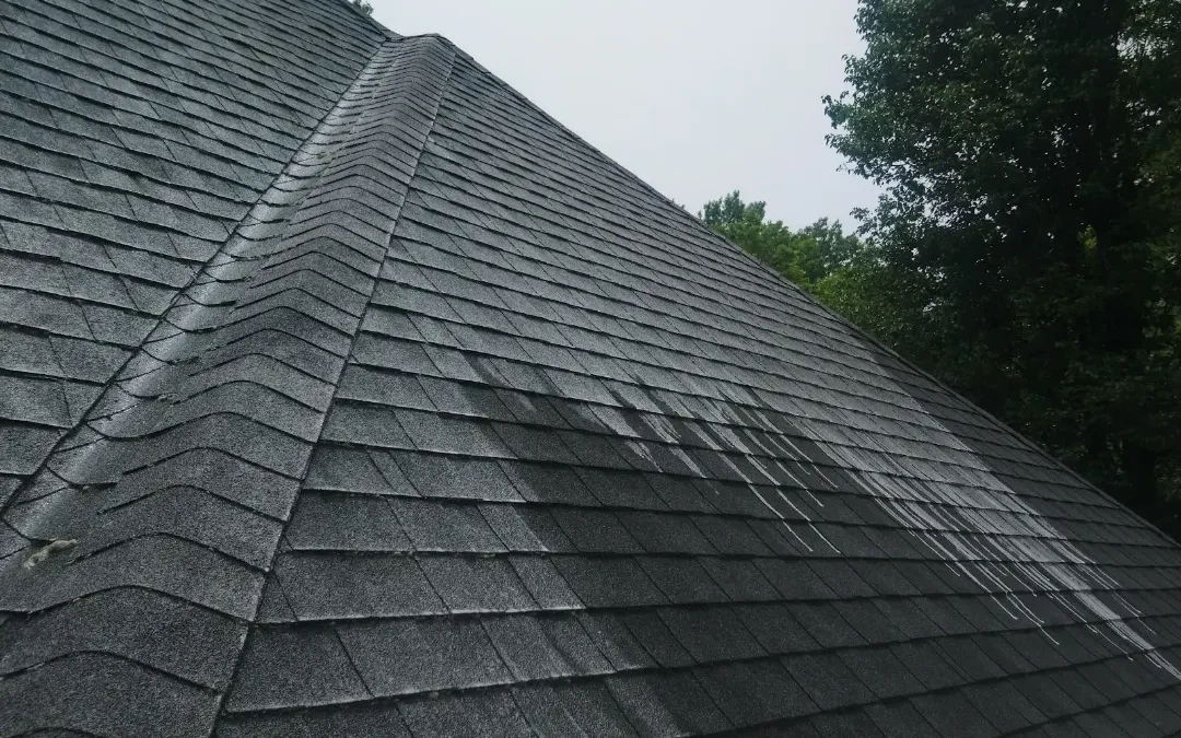  ROOF CLEANING & SANITATION: BY CHICAGOLAND SOFTWASH